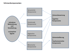 Schmerzkomponenten