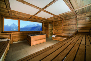 Hotel Alpen Tesitin - Wellness