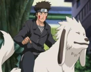 Kiba