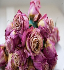 dried-flowers-market