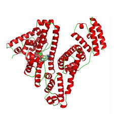 human-serum-albumin-market