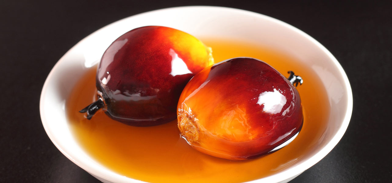 Palm Kernel Oil Market