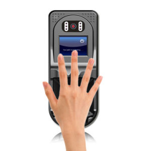 global palm vein biometrics market