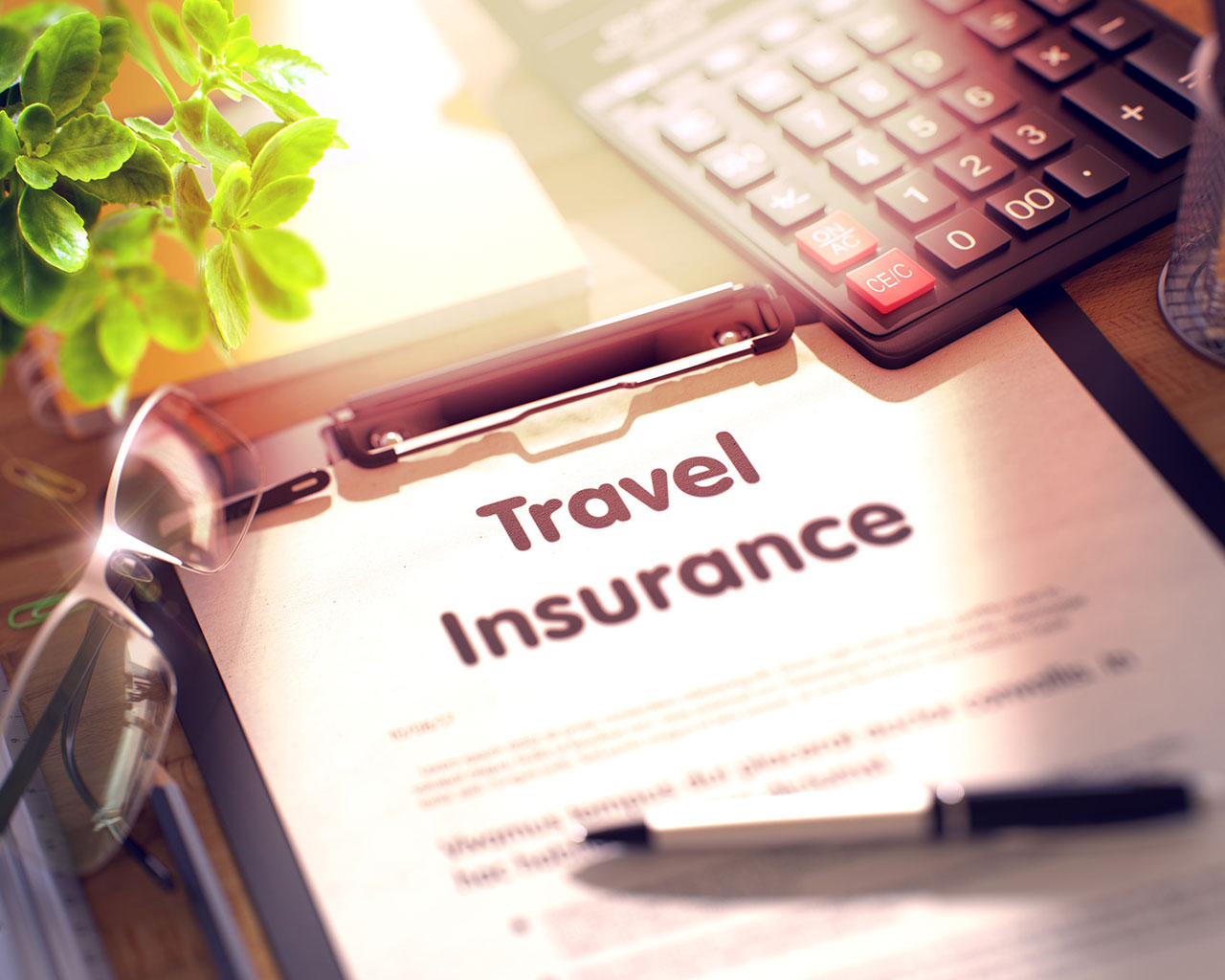 Business Travel Insurance Market ,