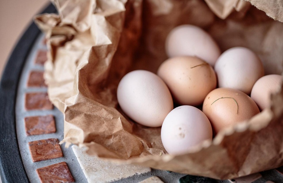 Egg Processing