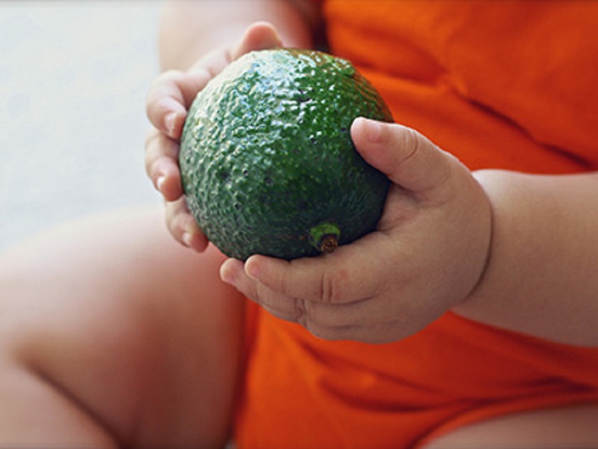 Frozen Baby Foods