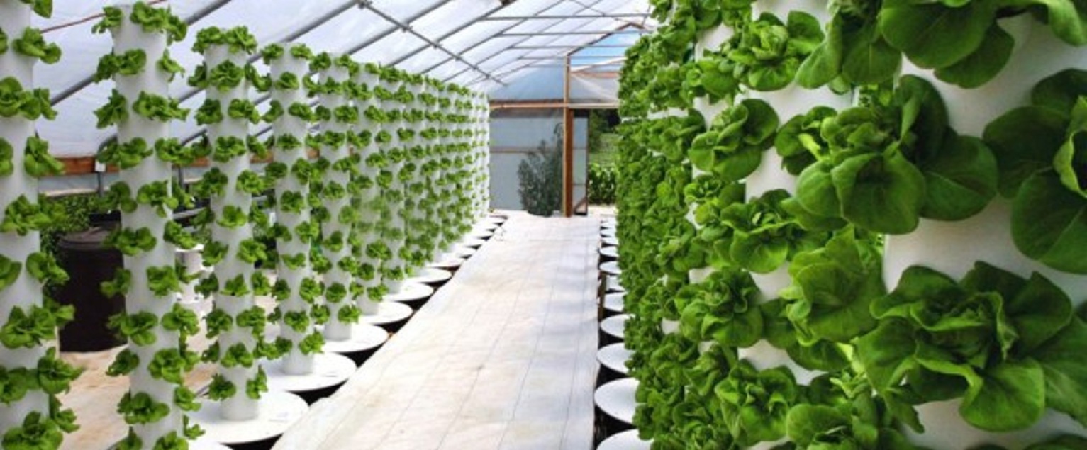 Indoor Farming Technology