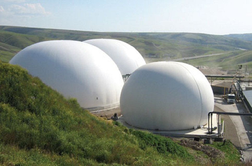 Biogas Power