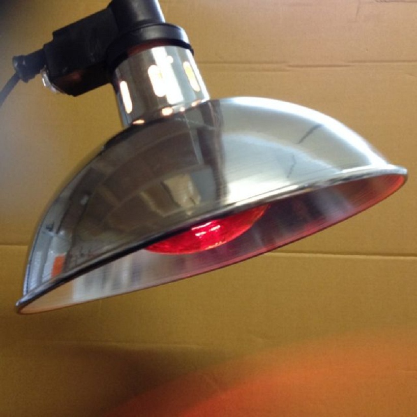 Infrared Heat Lamp