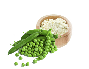 Organic Pea Protein Market