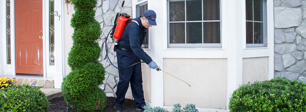 Pest Control Services