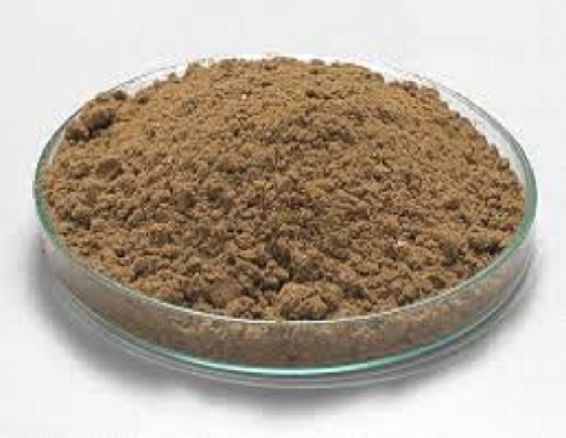 Steam Dried Fishmeal