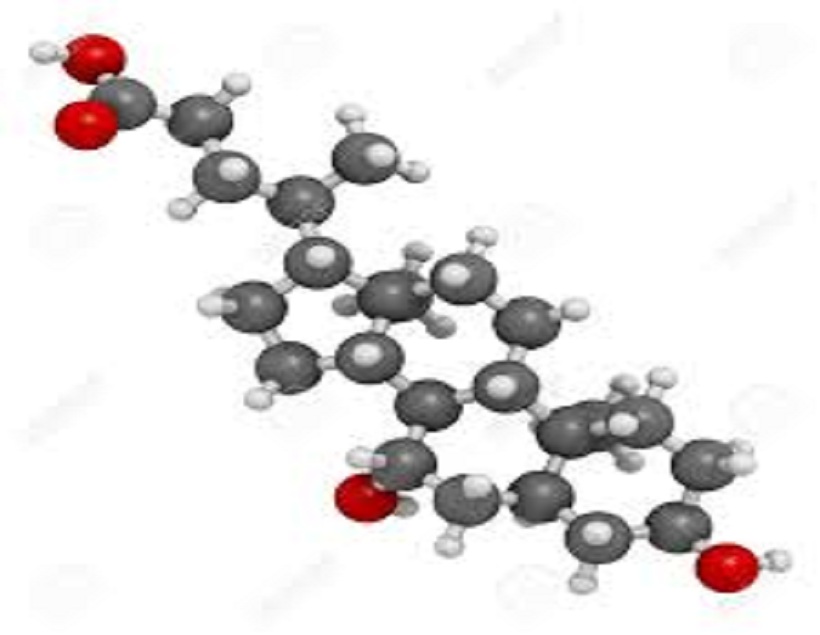 Ursodeoxycholic Acid