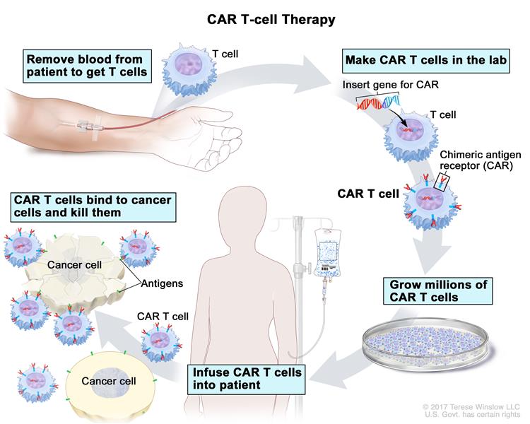 Car-T Cell Therapy market