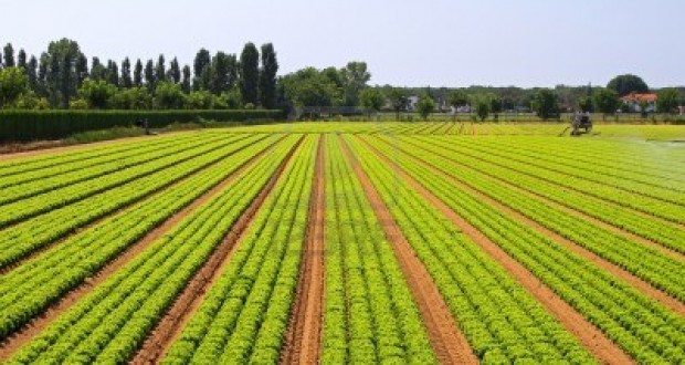 Precision Farming/Agriculture market