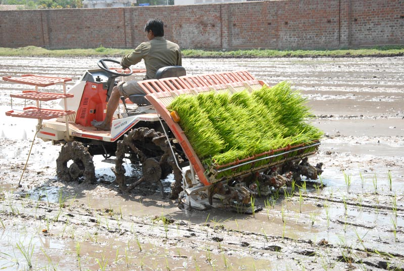 Rice Transplanter Machines