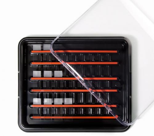 Slide-Staining Systems Sales